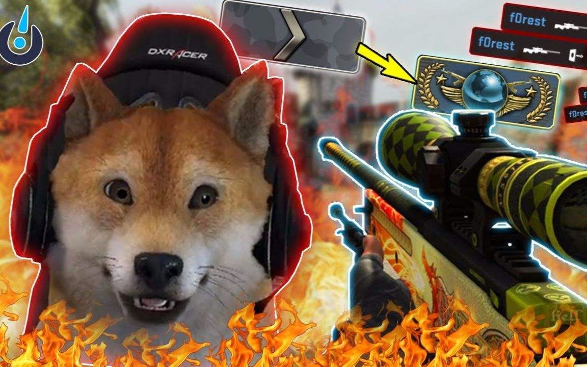 aoxic【新人向集锦#2】这里,是csgo的世界