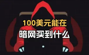 下载视频: 100美元，能在暗网买到什么？