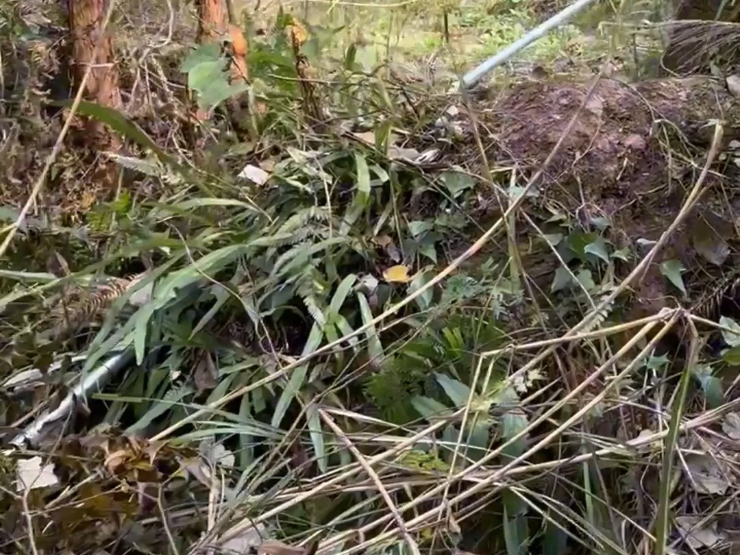 贵州粉丝自装水锤泵白嫖大自然高山陡坡不用电抽水哔哩哔哩bilibili