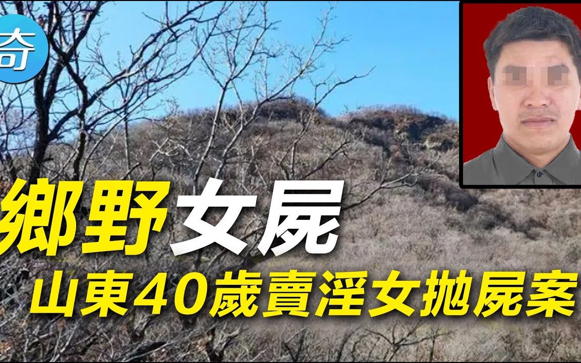 40岁中年卖淫女被抛尸乡野2006年山东枣庄凶杀案哔哩哔哩bilibili