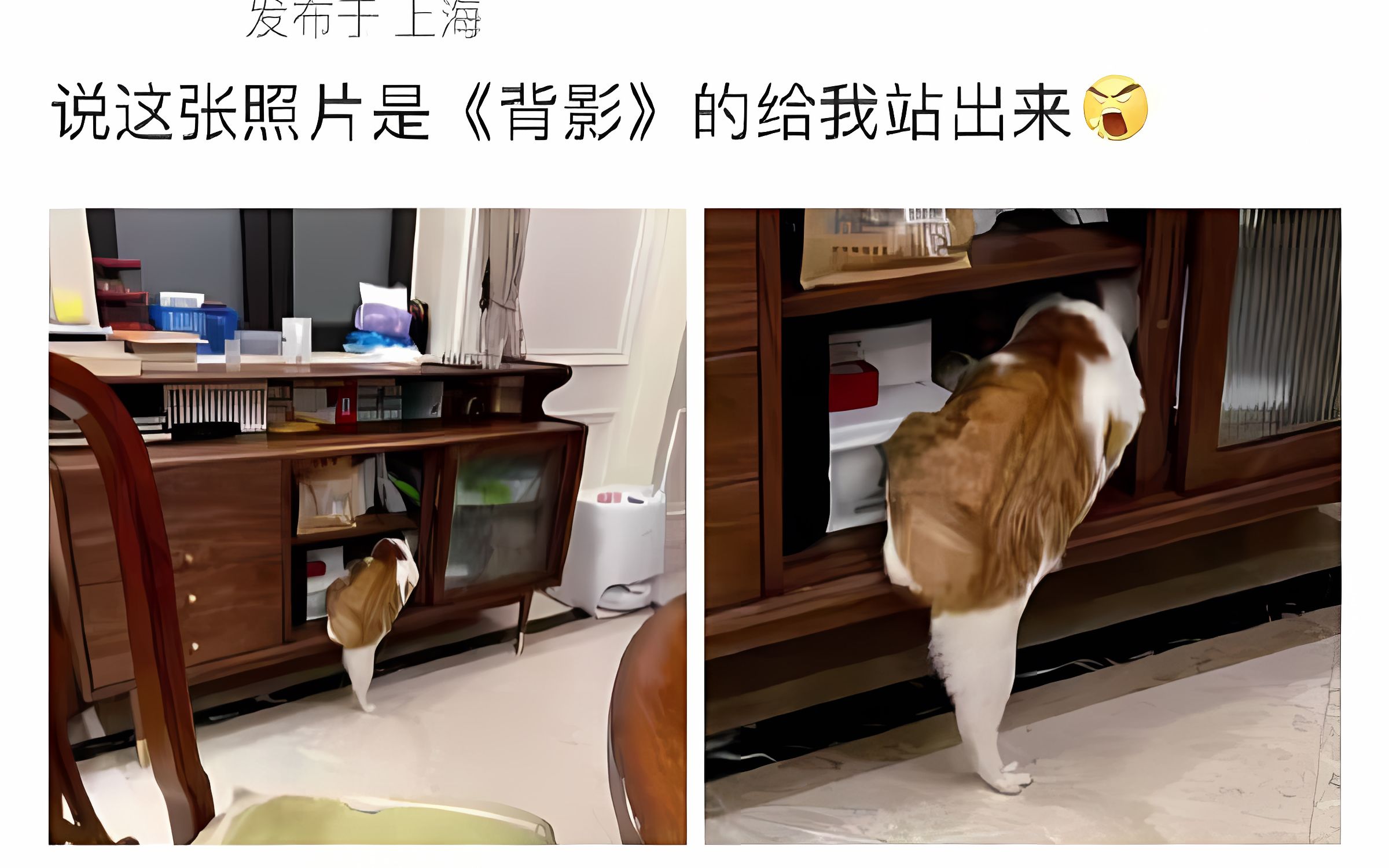 《背影》的给我站出来w(ﾟДﾟ)w那些笑到去买橘子的沙雕图 第6期