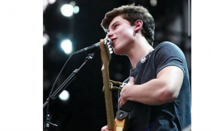 【shawn mendes】stitches