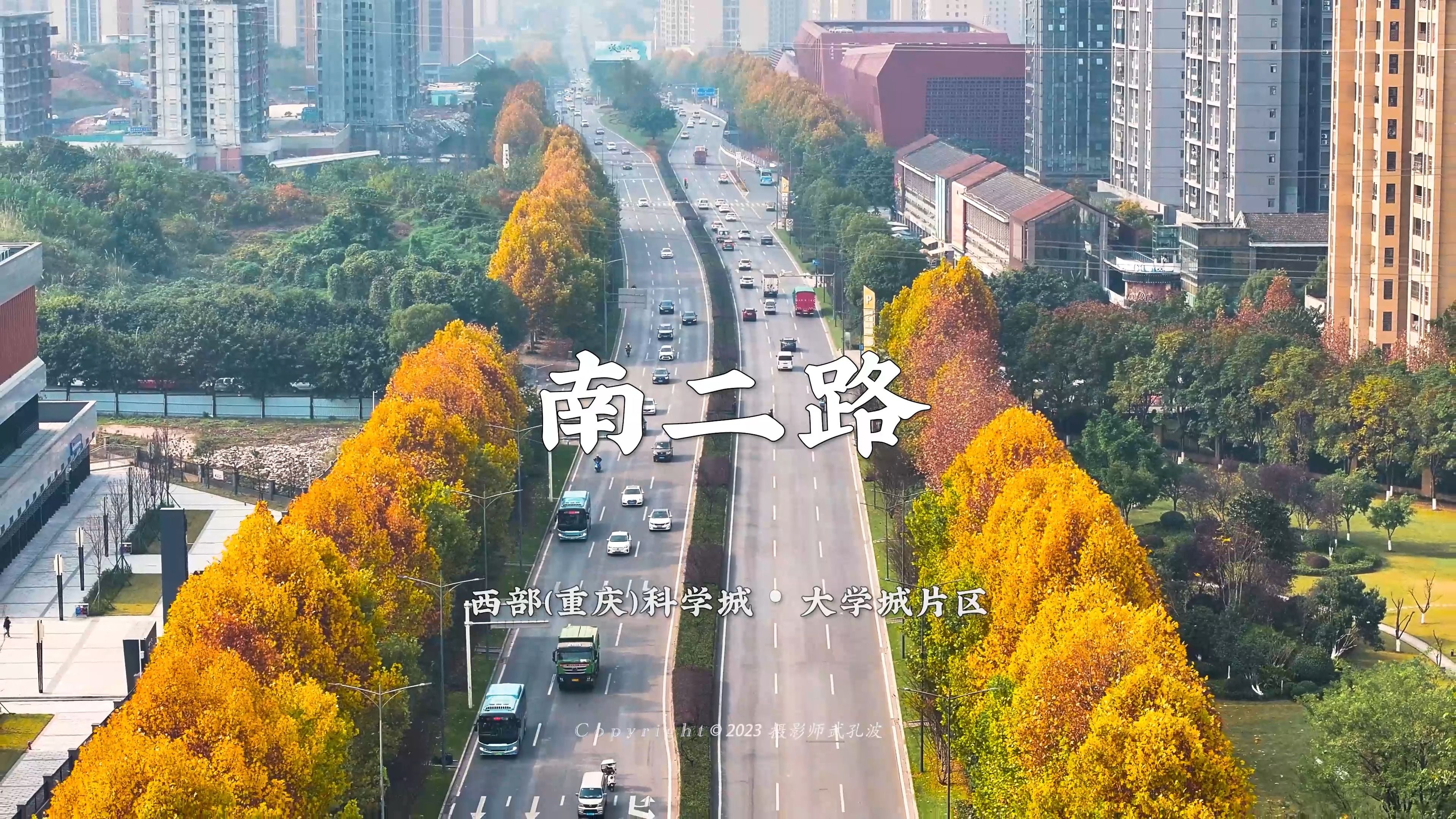 重庆大学城南二路的梧桐好美呀