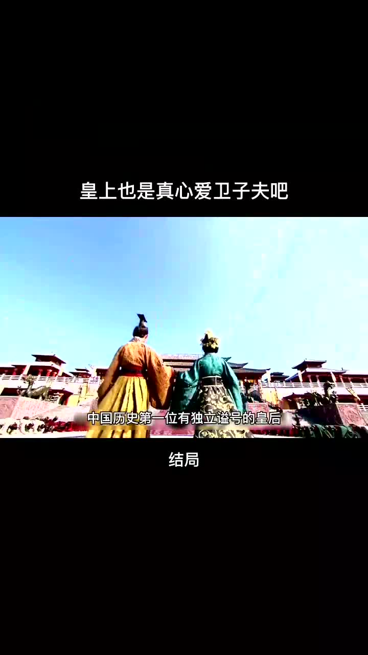 电视剧的卫子夫结局还是很好的,最心疼的就是男二哔哩哔哩bilibili