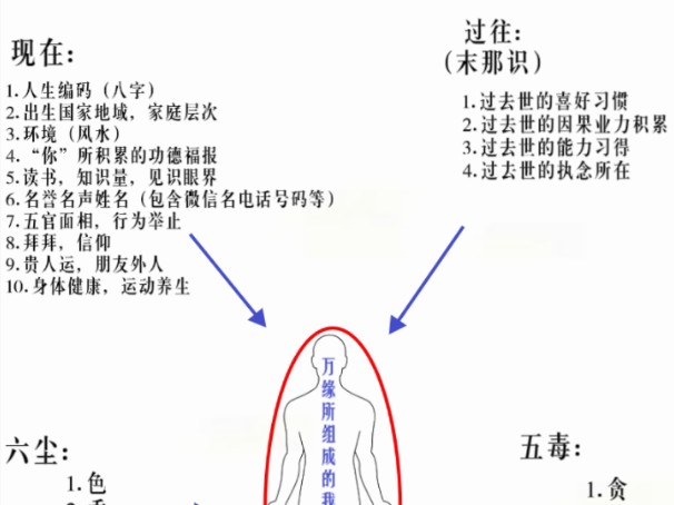 一个“我”的组成结构(一)哔哩哔哩bilibili