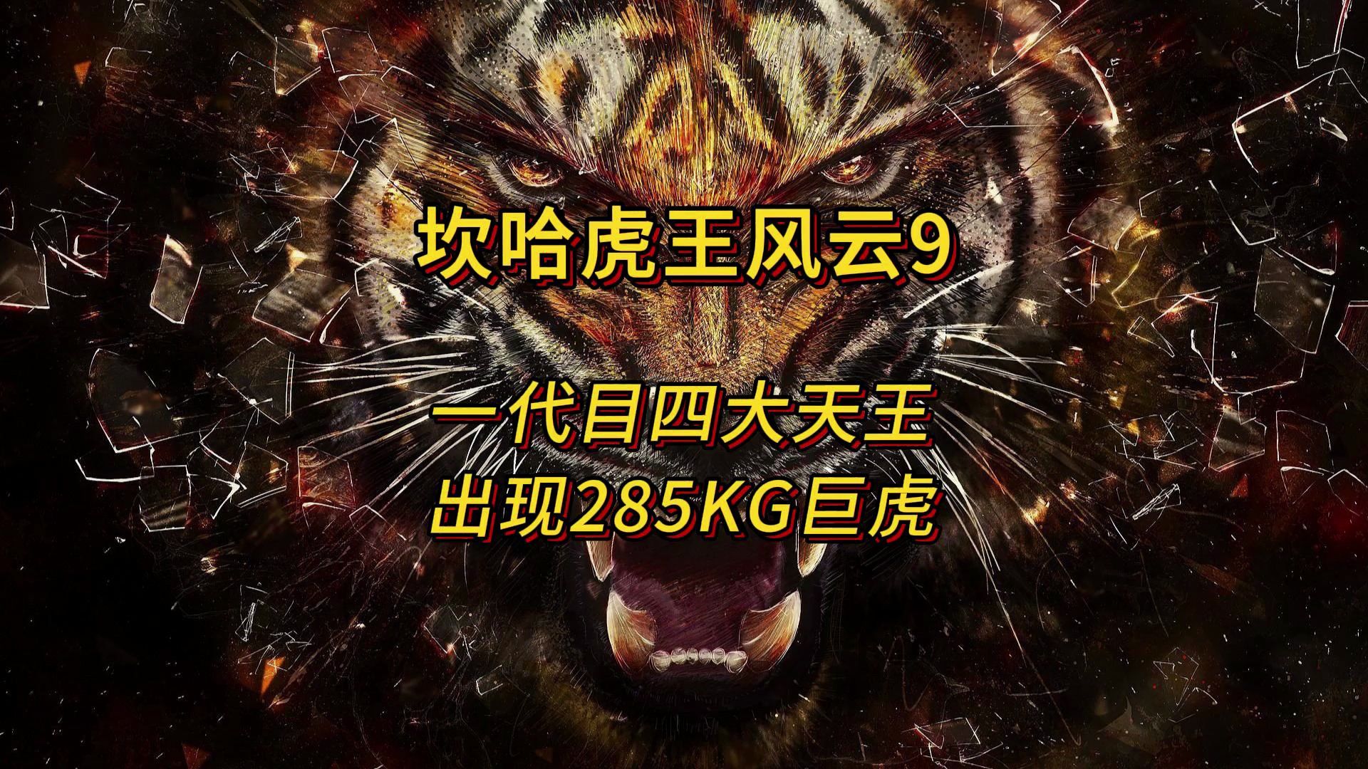 坎哈虎王风云9:介绍实测285㎏巨虎,盘点坎哈四大天王哔哩哔哩bilibili