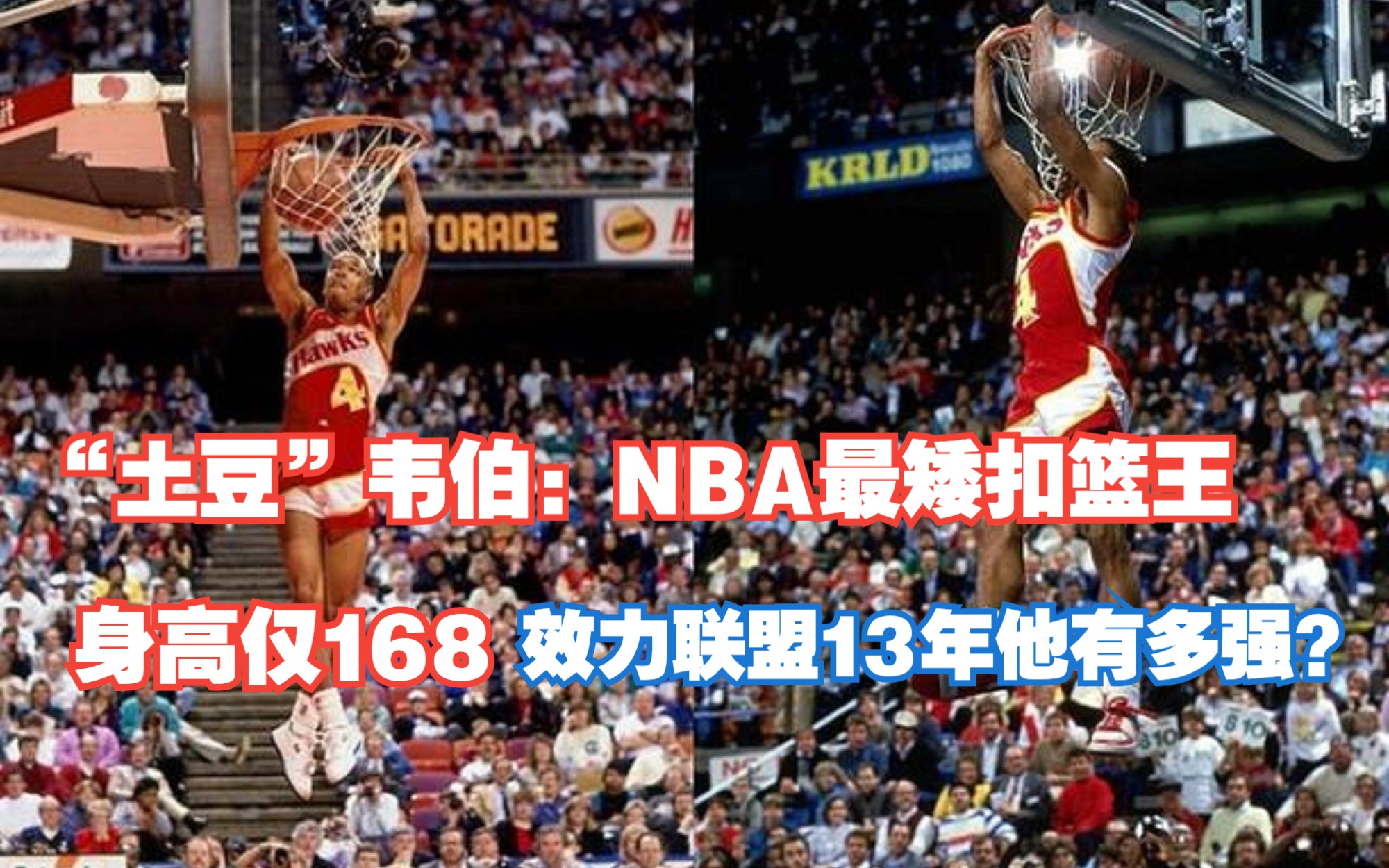 “土豆”韦伯:NBA最矮扣篮王身高仅168,效力联盟13年他有多强?哔哩哔哩bilibili