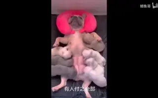 “每日一遍，烦恼再见”