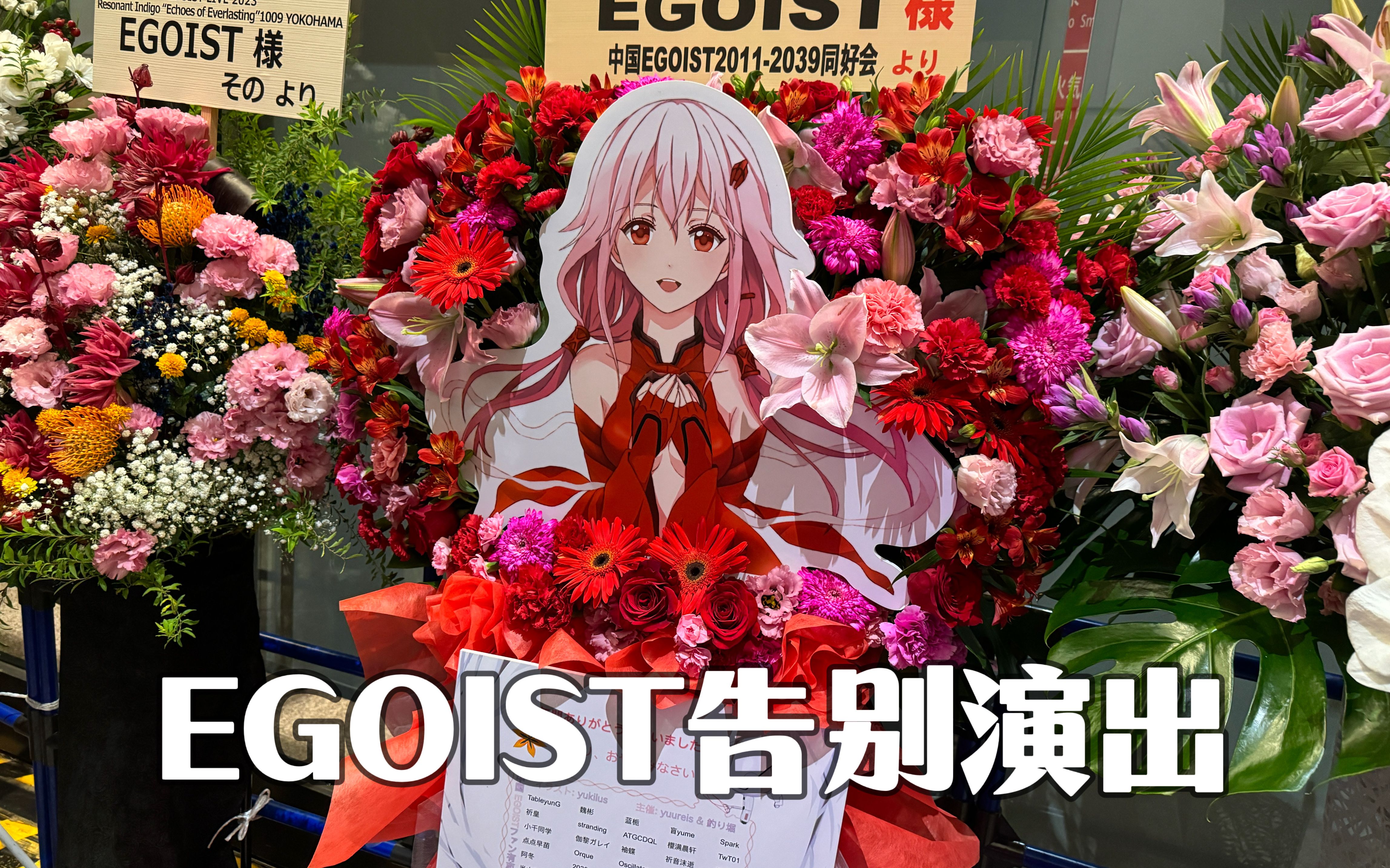 【演唱会vlog】我看的第一场也是最后一场egoist-想和樱花妹交往-默认