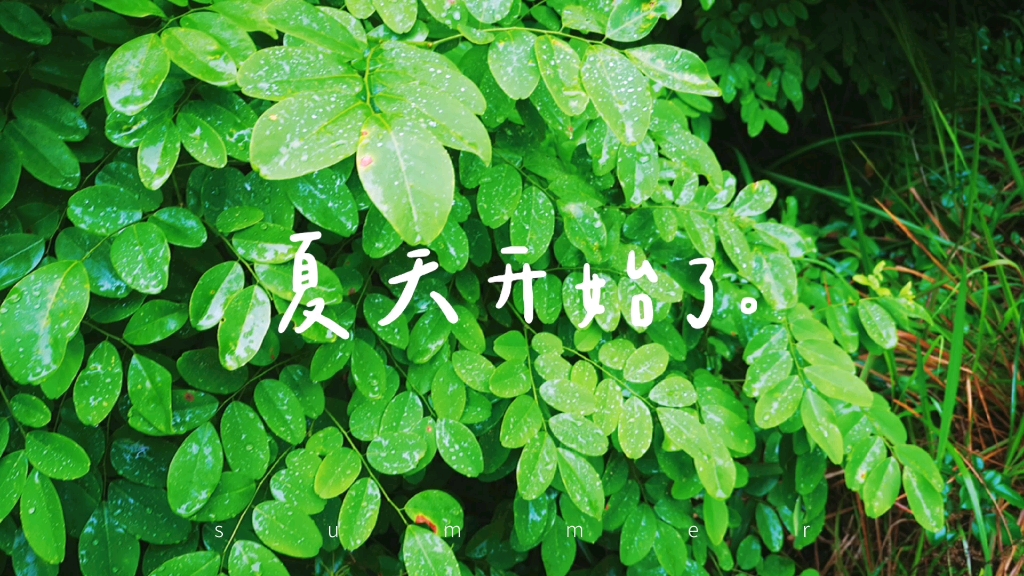 夏天开始了
