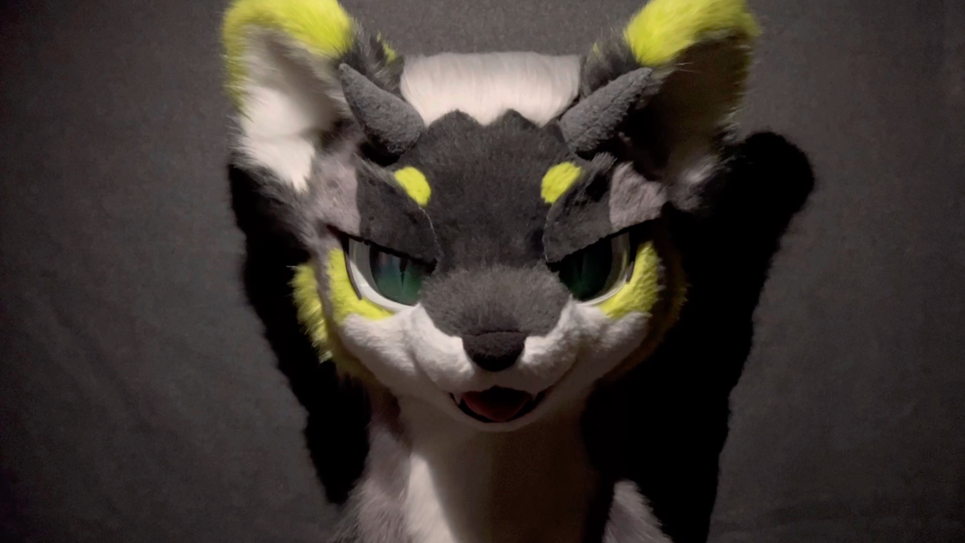 【兽装/fursuit】犬龙科兽兽半装展示_哔哩哔哩_bilibili