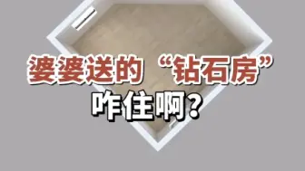 下载视频: 婆婆送的“钻石房”，咋住啊？