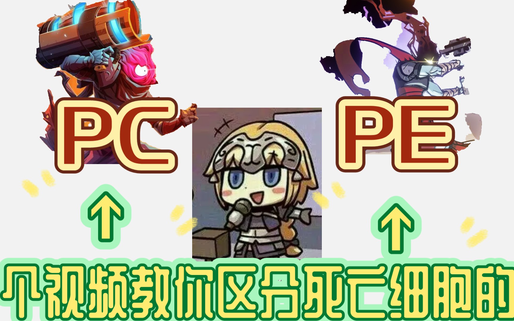 PC与PE的区别,一个视频教会!哔哩哔哩bilibili