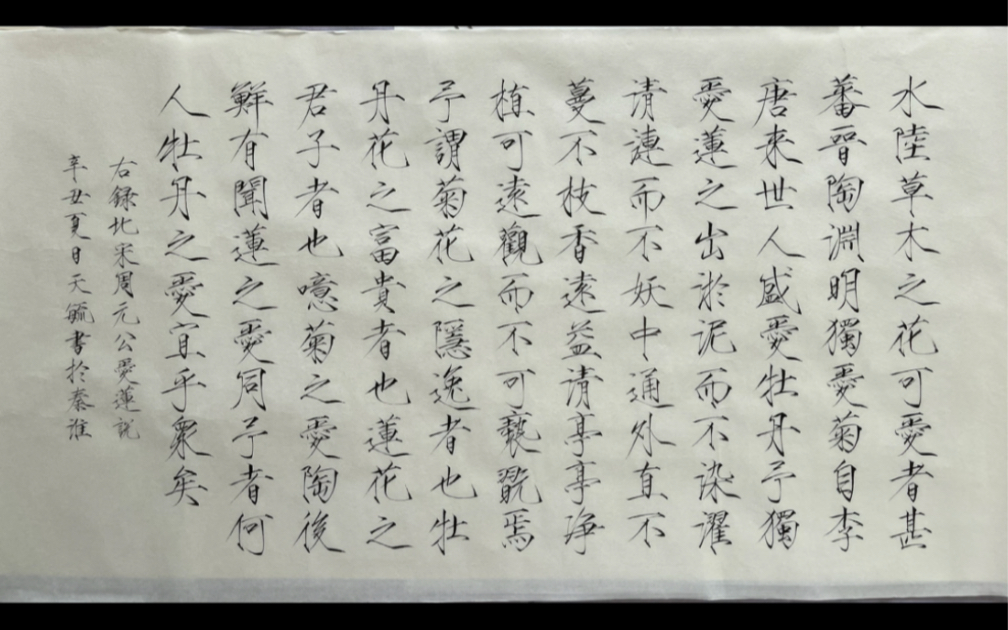 瘦金体——爱莲说(爆肝超超超长更新)