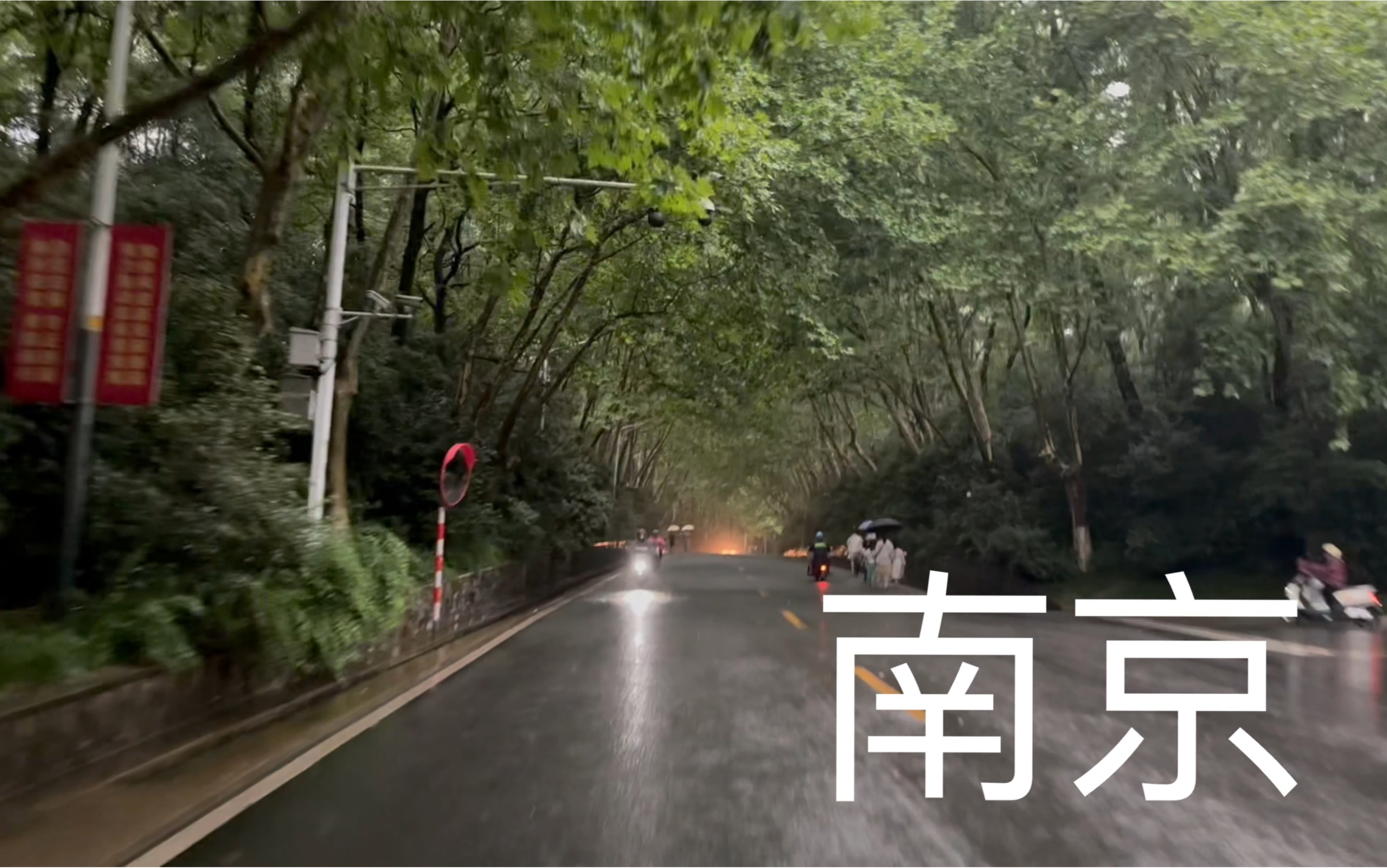 南京|下雨天的钟山风景区,请深呼吸!哔哩哔哩bilibili