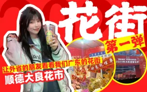 Download Video: 广东的朋友回避一下，让外省的朋友看看我们广东的花街之大良花市！！