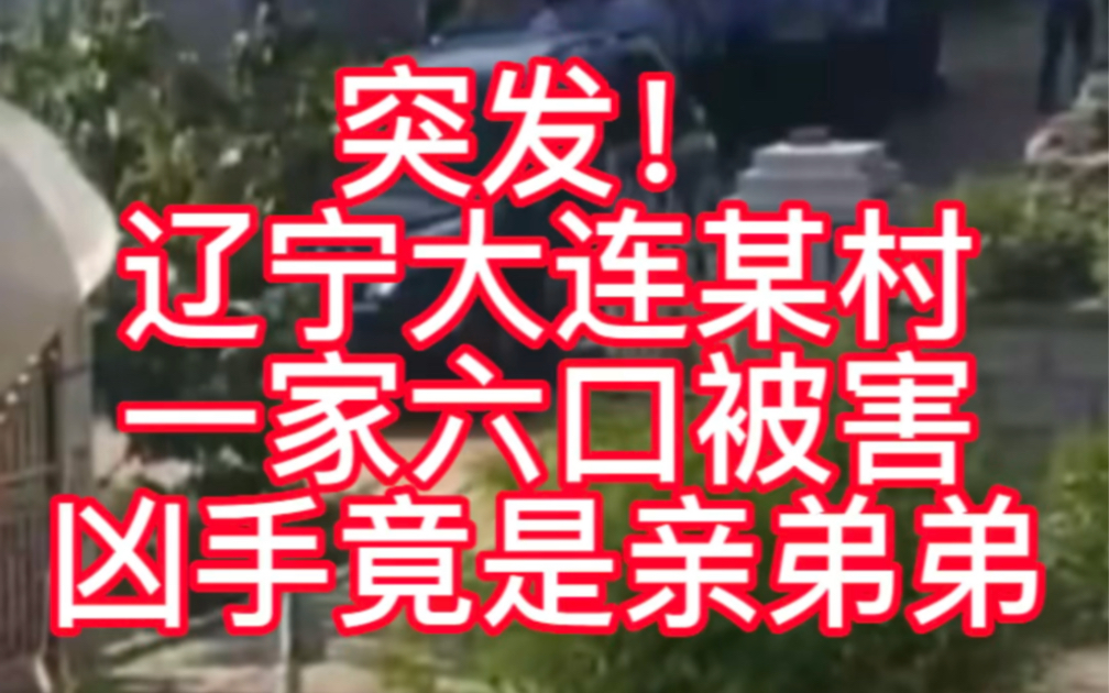 突发!辽宁大连庄河一54岁村民把亲哥哥一家六口杀害哔哩哔哩bilibili