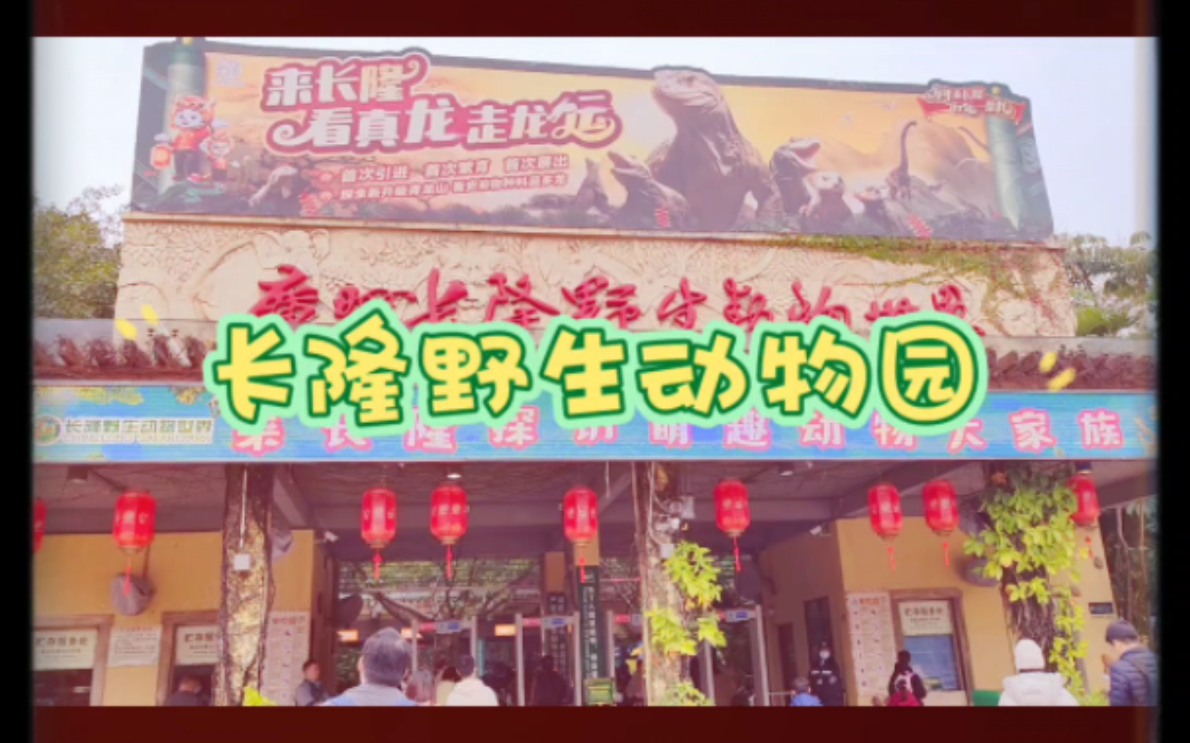 广州行(下)长隆看恐龙