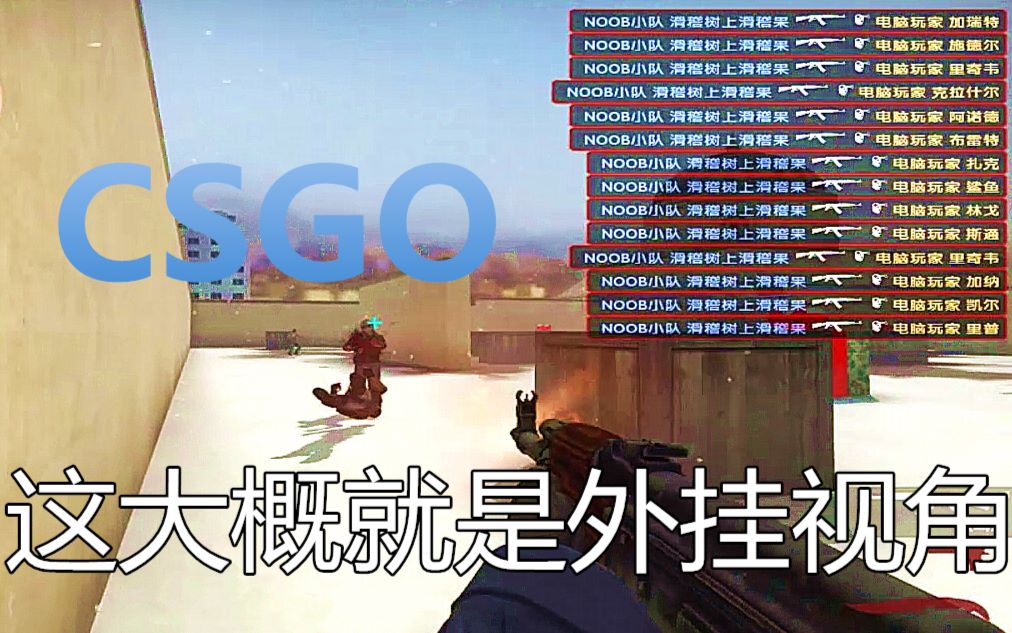 [图]【CSGO】这大概就是作弊者的视角