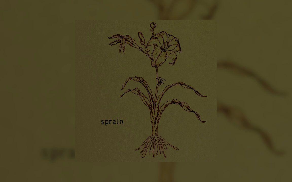 [图]珍宝 |【美国"如树皮脱落"超绝顶级Emo/慢核/独立摇滚】Sprain - Anything/No One's Home