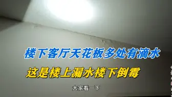 楼下客厅天花板多处滴水，这真是楼上漏水楼下倒霉