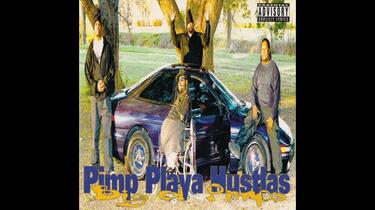Pimp Playa Hustlas - Big Ol' Pimps [Full Album]_哔哩哔哩_