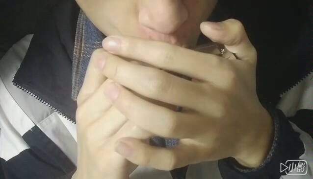 蓝调口琴《青鸟》,前奏,从入门到放弃