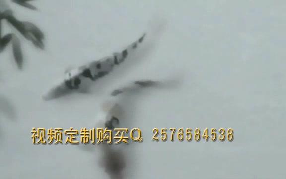 261 墨舞 高清 大气中国风演出舞台背景设计画面我要视频网哔哩哔哩bilibili