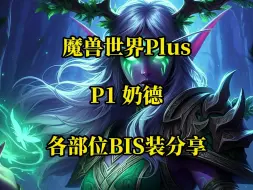 Download Video: 魔兽世界plus探索赛季服P1奶德各部位BIS装及附魔分享