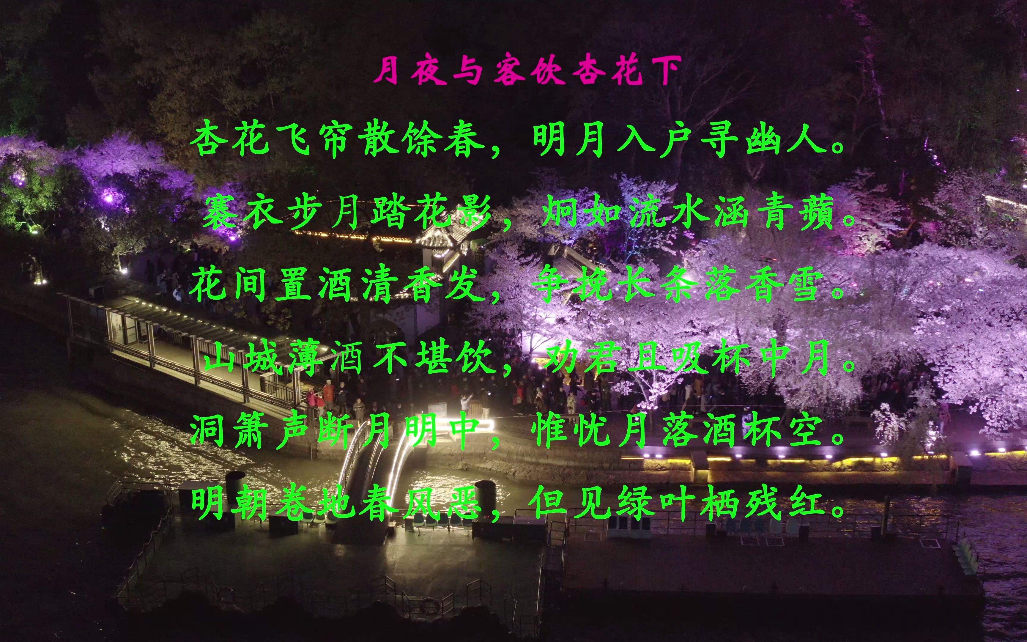 [图]看古人如何描述喝酒时的情景，借以抒发心中的万千情绪【月夜与客饮杏花下】