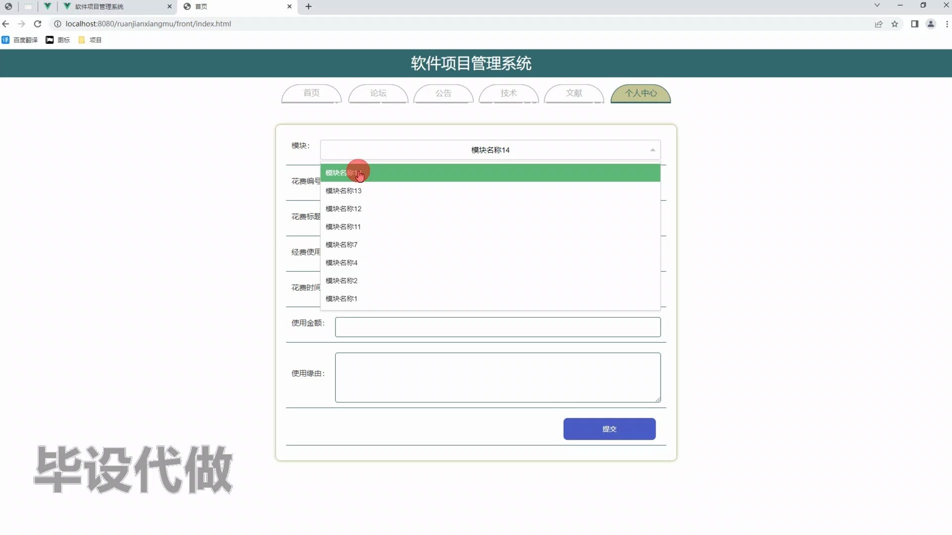 计算机软件系统，计算机软件系统分为哪两大类