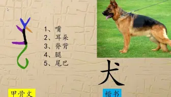 犬 字的象形画 哔哩哔哩 Bilibili