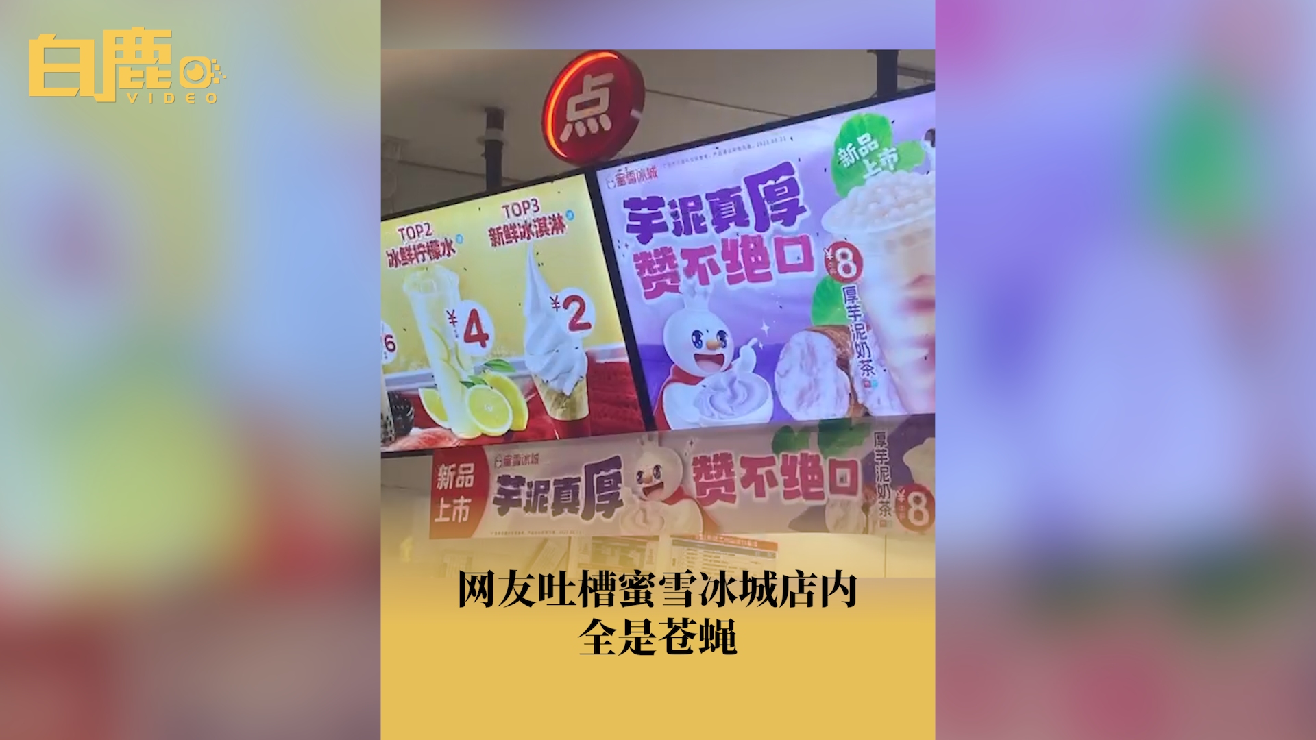 网友吐槽蜜雪冰城店内全是苍蝇哔哩哔哩bilibili