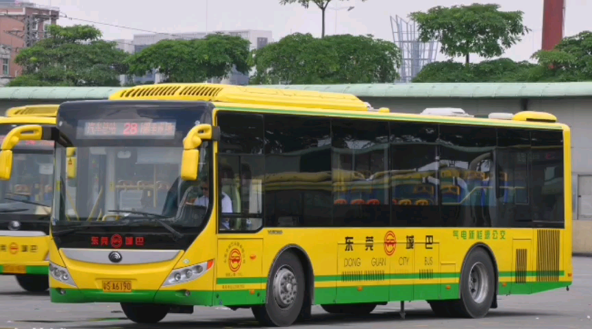 东莞公交pov东莞城巴c1汽车东站