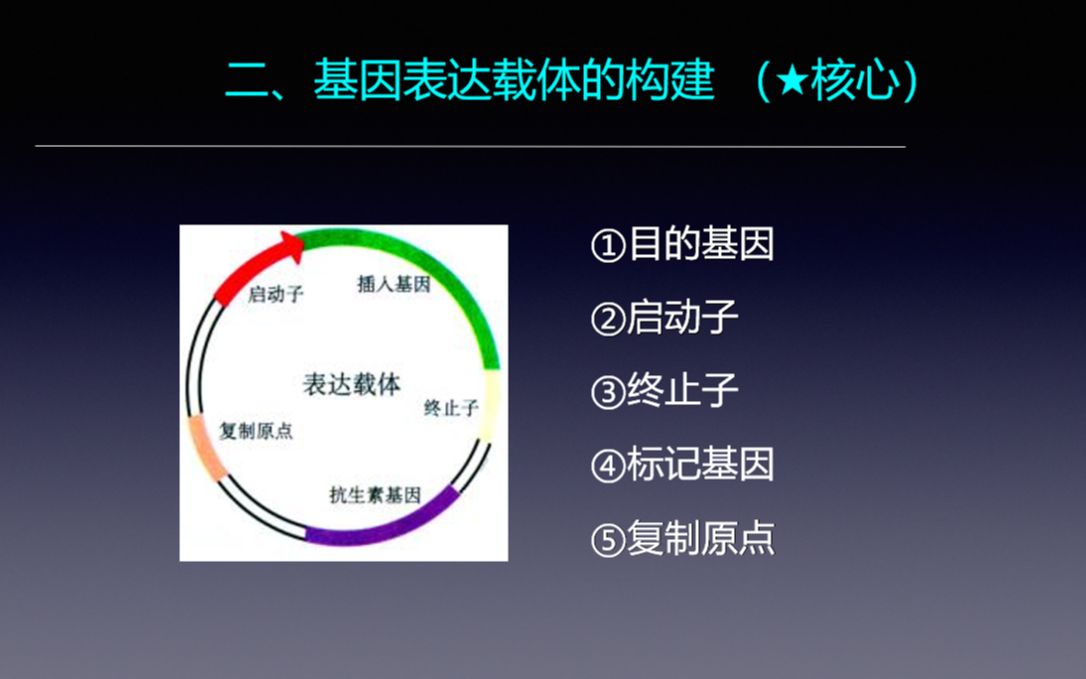 基因工程运载体上标记基因的筛选作用