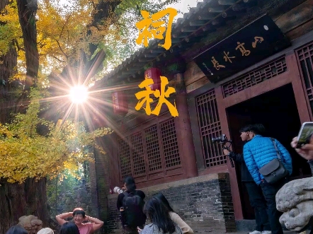 太原 晋祠哔哩哔哩bilibili