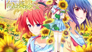 車輪の国、向日葵の少女-哔哩哔哩_Bilibili
