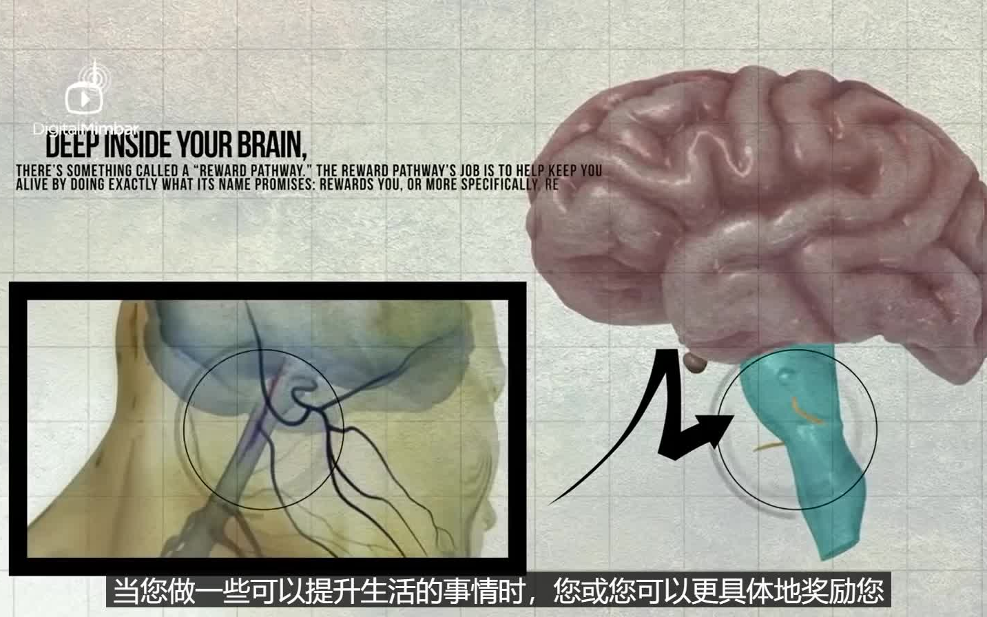 美国人解读戒色:色情的危害哔哩哔哩bilibili