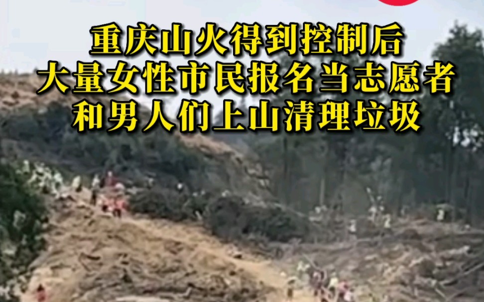 怒赞！重庆大量女性集结上山清理山火现场垃圾