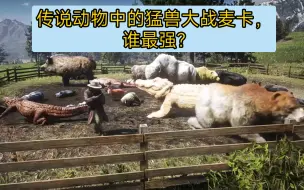 Download Video: 【荒野大镖客2】传说动物中的猛兽大战麦卡，谁最强?