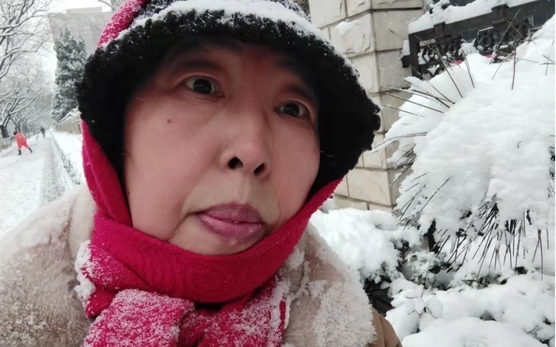 北京普通退休叔叔阿姨的日常少见～下大雪了_哔哩哔哩_bilibili
