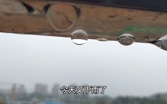 [图]早上起来听着雨声敲打窗户，也很美妙，心情也能放空