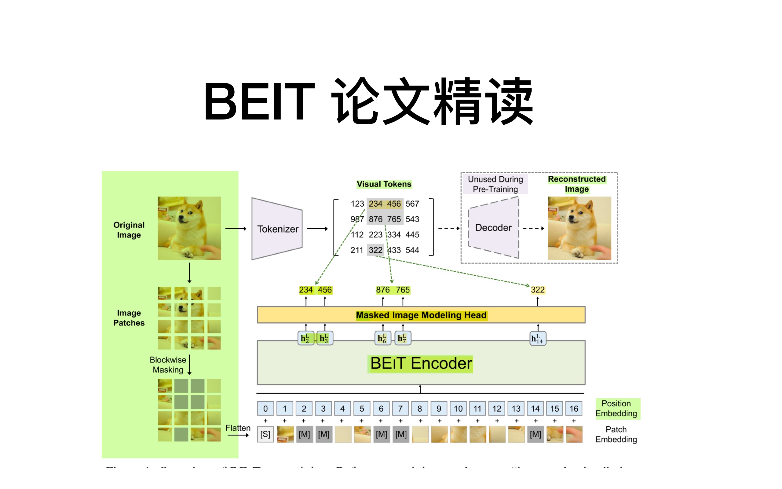 【论文叨叨叨】有趣的自监督图像预训练方法BEIT
