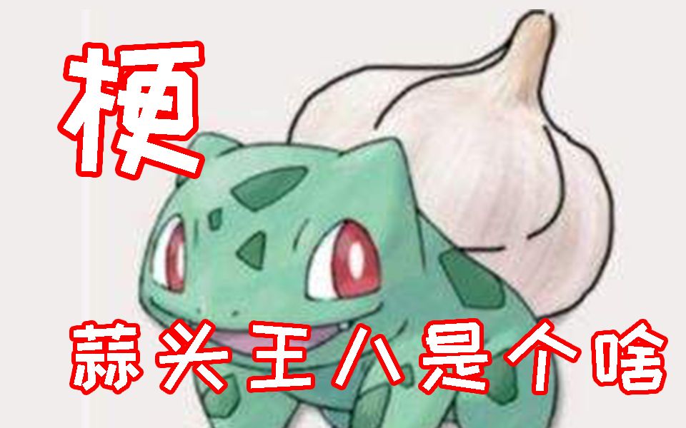 蒜头王八是个什么破壳萌?看个动画还能要命?宝可梦梗系列#4