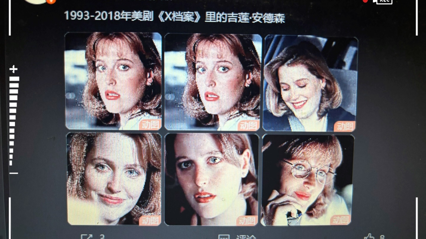 x档案 吉莲安德森