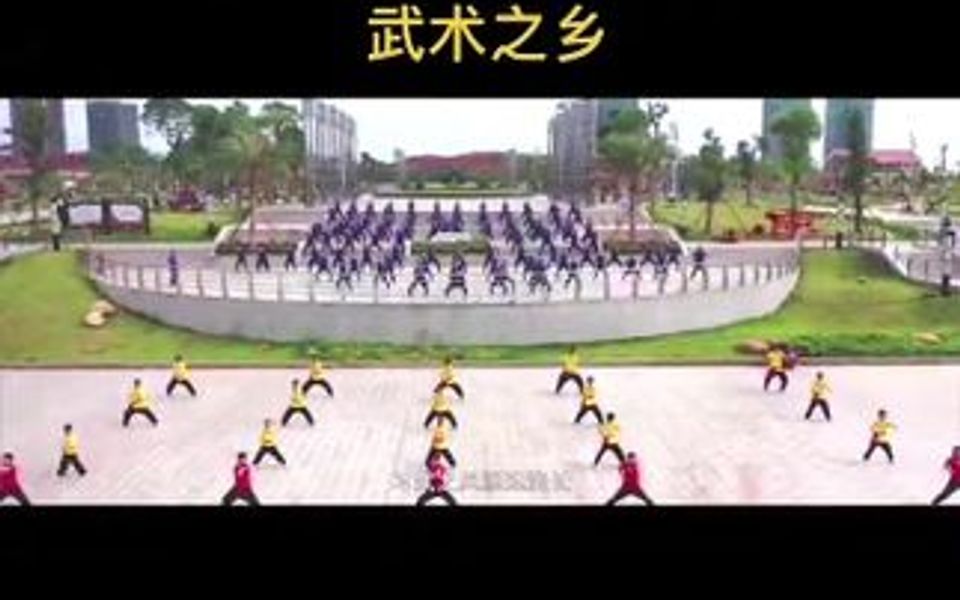 武术之乡,我的家乡——罗定!哔哩哔哩bilibili