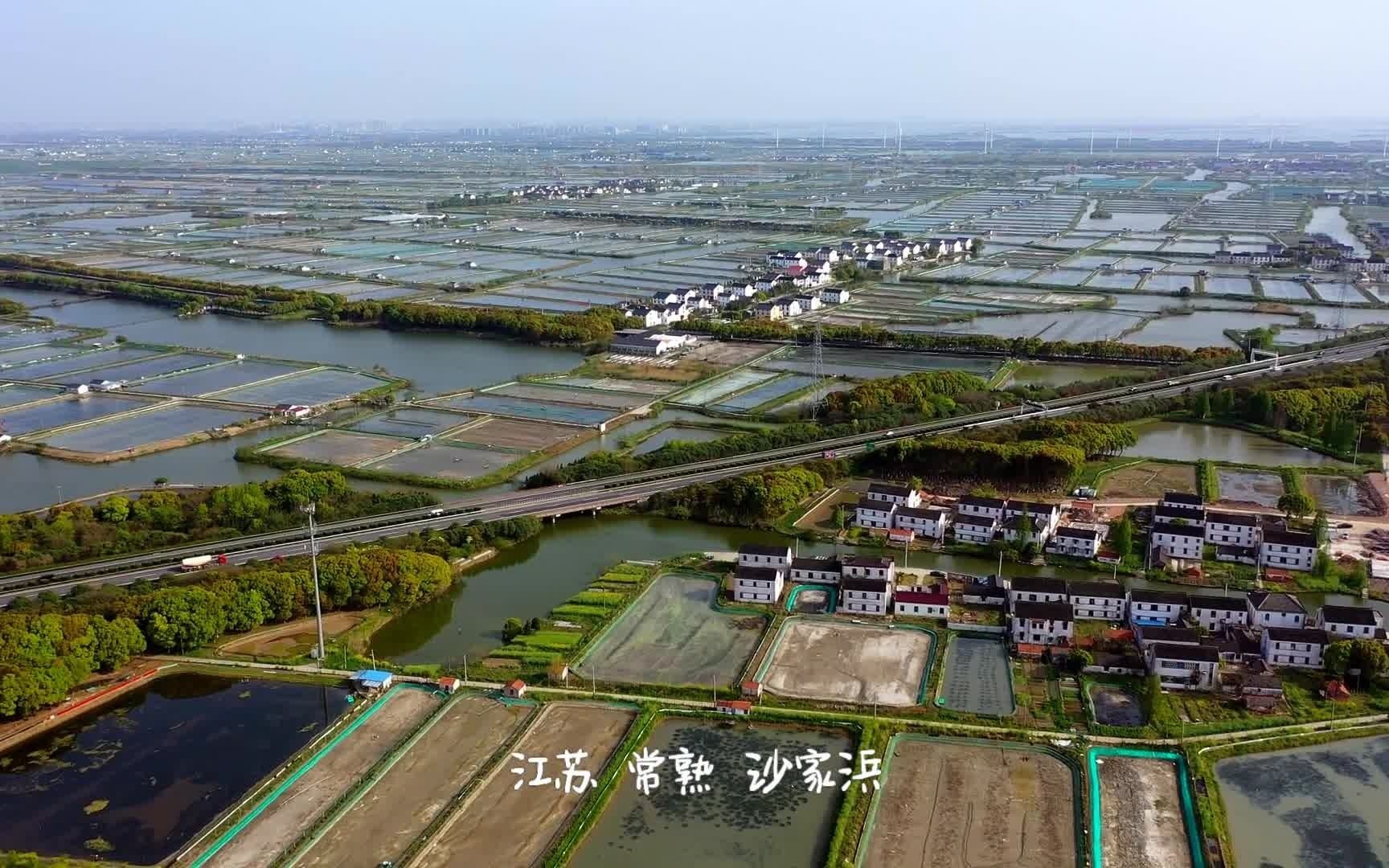 [图]鹰眼看世界159-江苏常熟·沙家浜（常熟真是一座建在湿地上的城市，河汊纵横，芦苇疯长）