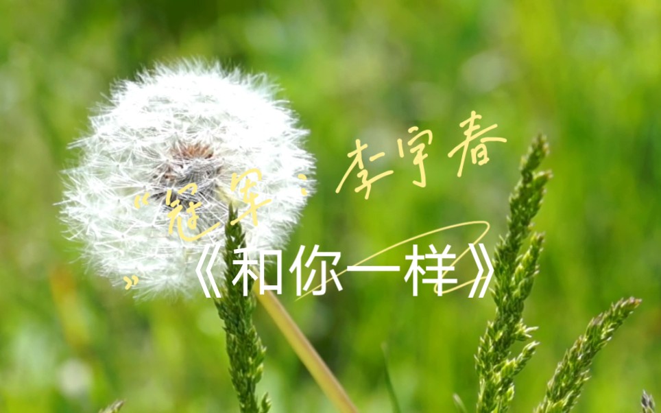 《和你一样》翻唱_哔哩哔哩_bilibili