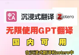 Descargar video: 无限使用gpt翻译|沉浸式翻译和zotero