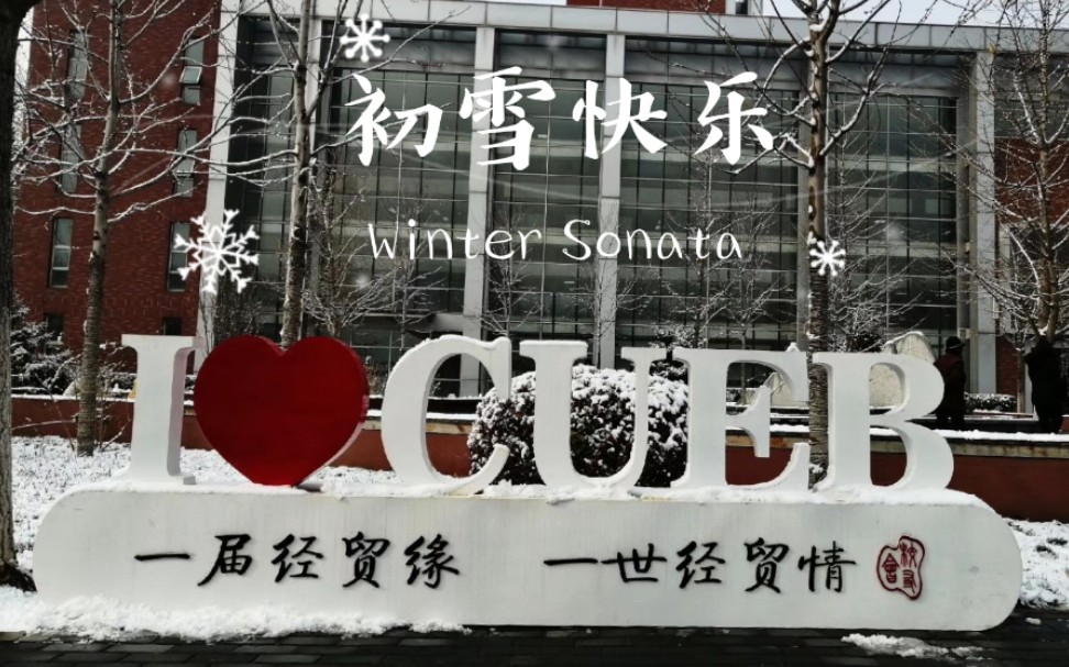 [图]【阿茶】VLOG：北平的冬天/首经贸下雪啦/初雪快乐/堆雪人/北京下雪